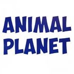 Animal Planet