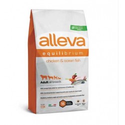 ALLEVA EQUILIBRIUM...