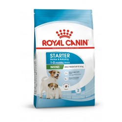 ROYAL CANIN MINI STARTER 1kg